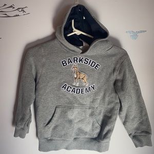 Boy Gymboree Sweatshir. Size 5-6